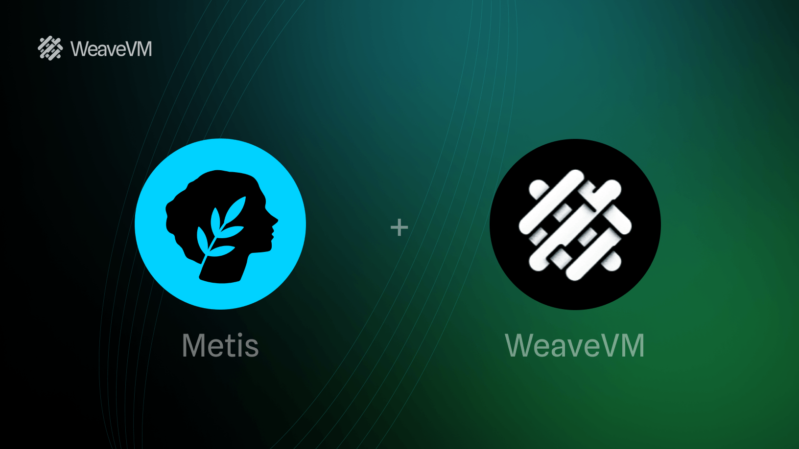 Metis partners with WeaveVM to ensure permanent data availability