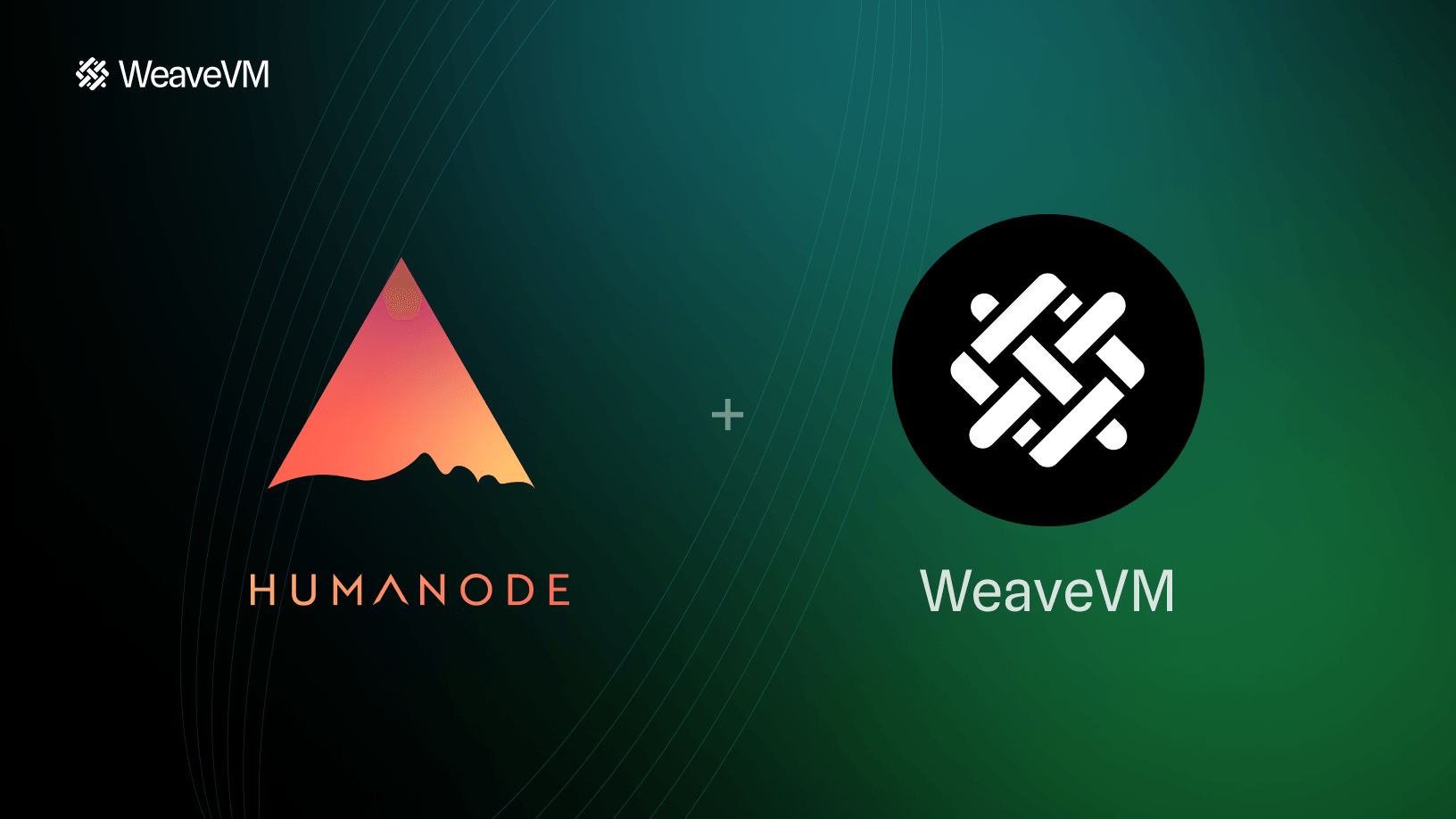 WeaveVM x Humanode: Faster Network Sync Through Permanent Storage